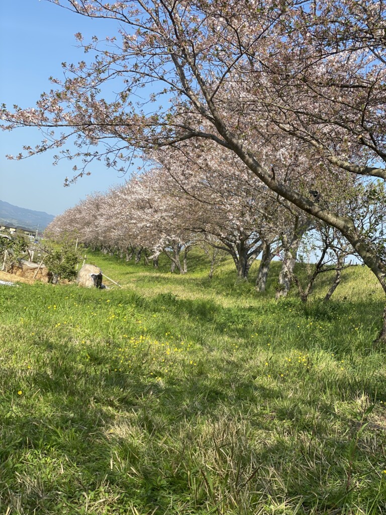 狩ってきました【博多GPOPのブログ】