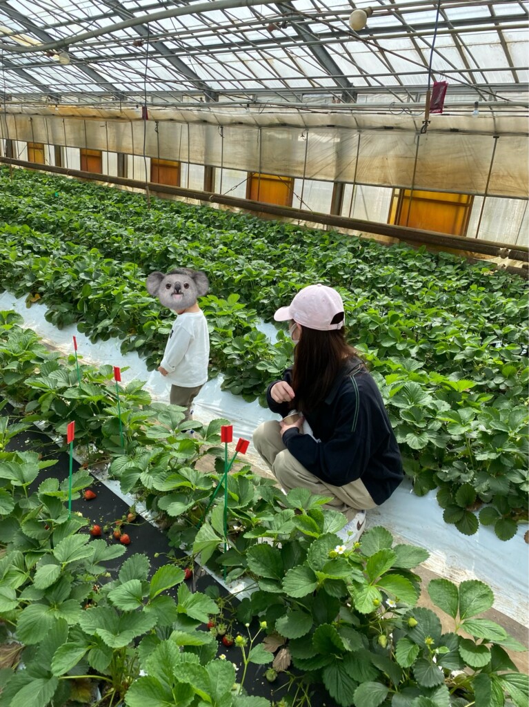 狩ってきました【博多GPOPのブログ】