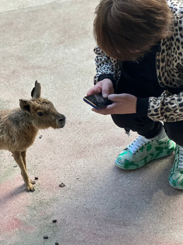 動物園に豹柄【博多GPOPのブログ】